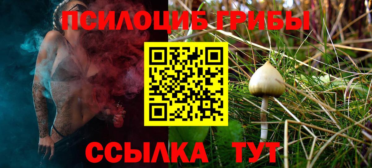 Псилоцибиновые грибы Magic Shrooms  Вход с VPN  Галлюциногенные грибы ЛСД  Гатчина 